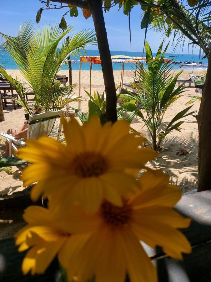 Mallika Guest House Tangalle Exterior photo